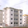 Obra Entregue Flores